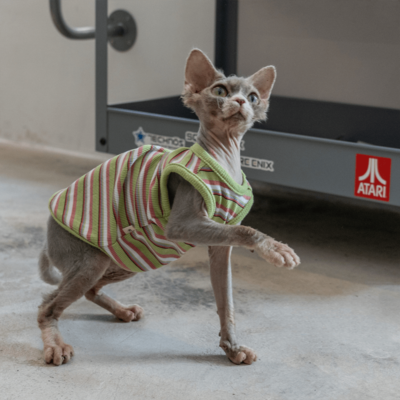 Cotton Striped Vest Elastic Sleeveless Tank Sphynx Cat Clothes - PIKAPIKA