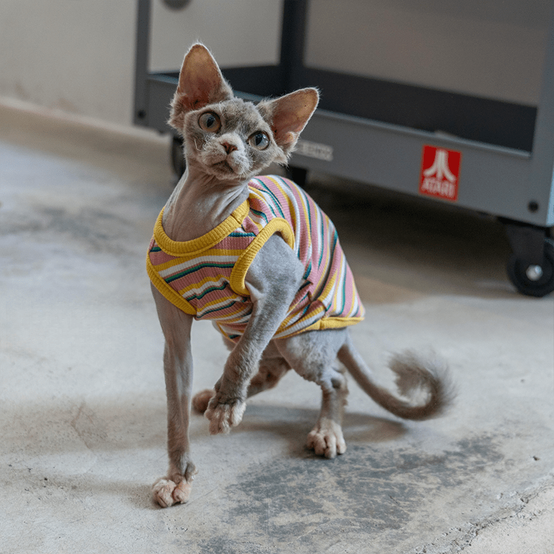 Cotton Striped Vest Elastic Sleeveless Tank Sphynx Cat Clothes - PIKAPIKA