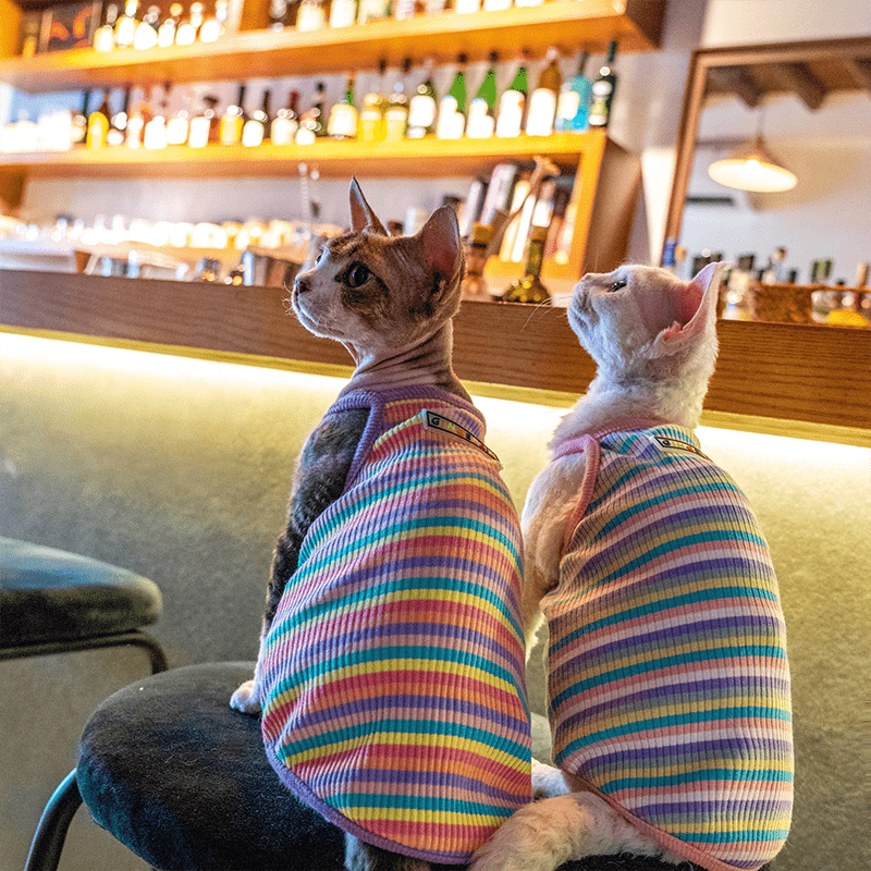 Cotton Striped Vest High Stretch Breathable Tank Top Sphynx Cat Clothes - PIKAPIKA