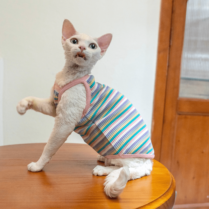 Cotton Striped Vest High Stretch Breathable Tank Top Sphynx Cat Clothes - PIKAPIKA