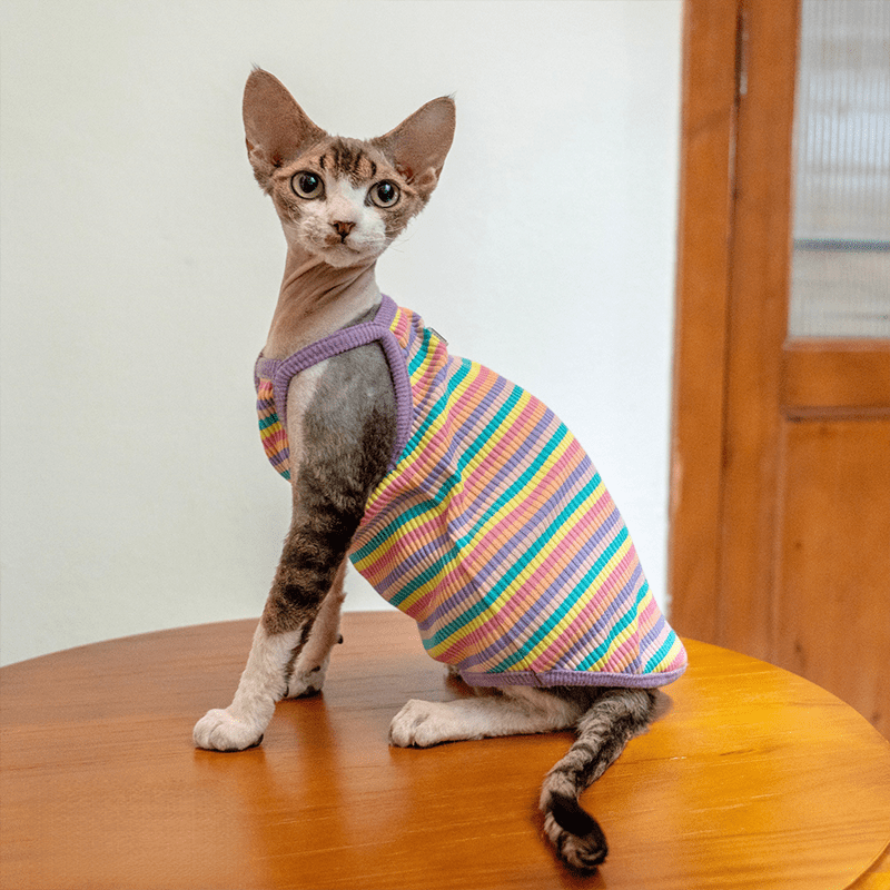 Cotton Striped Vest High Stretch Breathable Tank Top Sphynx Cat Clothes - PIKAPIKA