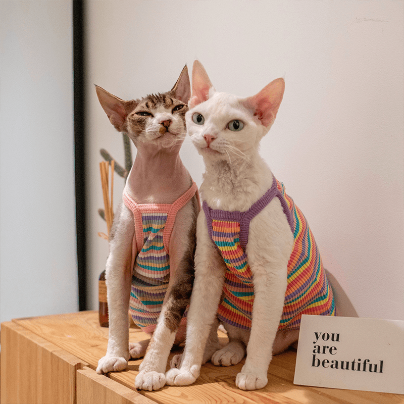 Cotton Striped Vest High Stretch Breathable Tank Top Sphynx Cat Clothes - PIKAPIKA