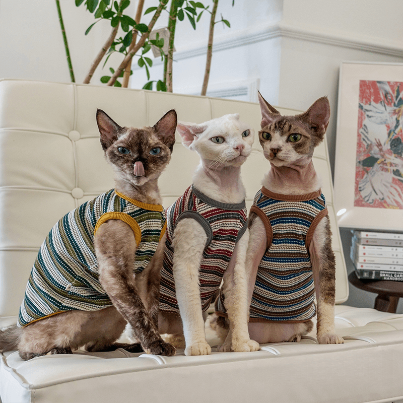 Cotton Striped Vest High Stretch Comfortable Tank Sphynx Cat Clothes - PIKAPIKA
