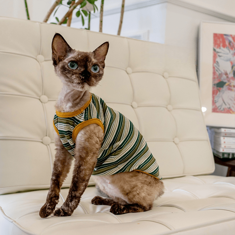 Cotton Striped Vest High Stretch Comfortable Tank Sphynx Cat Clothes - PIKAPIKA