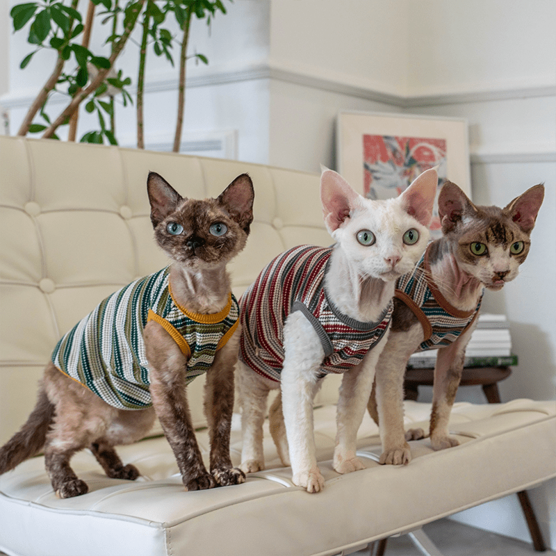 Cotton Striped Vest High Stretch Comfortable Tank Sphynx Cat Clothes - PIKAPIKA