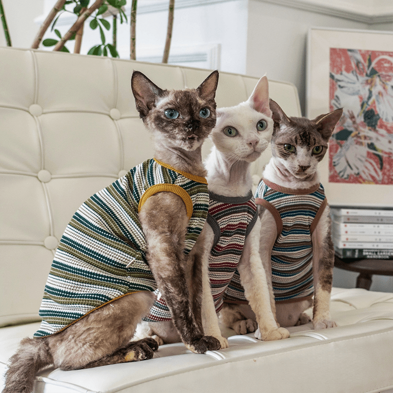 Cotton Striped Vest High Stretch Comfortable Tank Sphynx Cat Clothes - PIKAPIKA