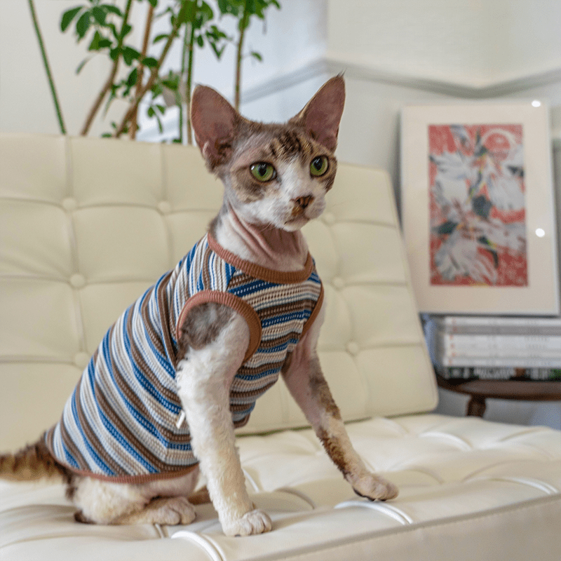Cotton Striped Vest High Stretch Comfortable Tank Sphynx Cat Clothes - PIKAPIKA