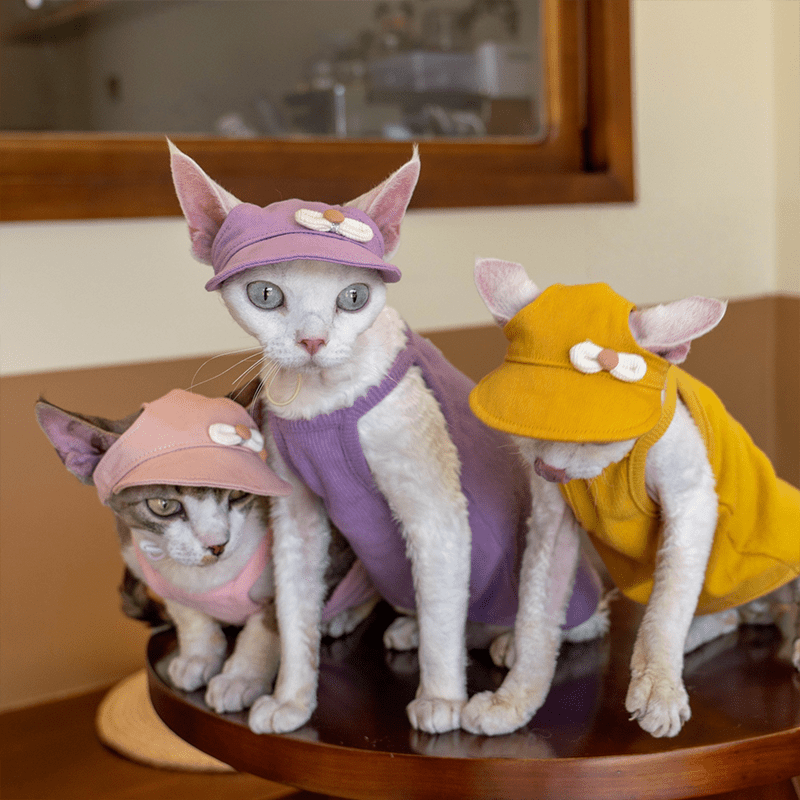 Cotton Sun Hat Summer Visor Cap with Ear Openings Sphynx Cat Accessorises - PIKAPIKA