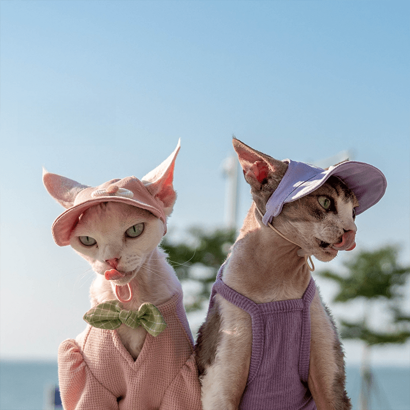 Cotton Sun Hat Summer Visor Cap with Ear Openings Sphynx Cat Accessorises - PIKAPIKA