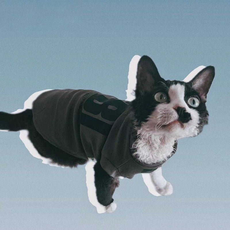Cotton T-shirts Sleeveless Shirts Sphynx Cat Clothes - PIKAPIKA