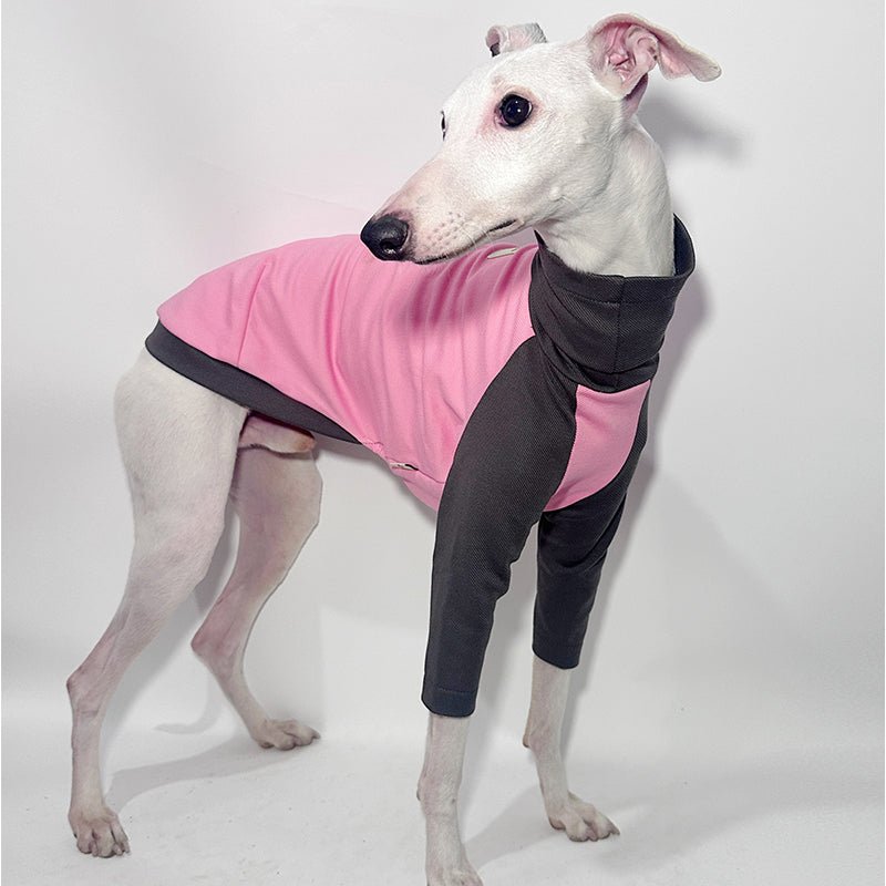 Cotton T-shirts Tee Shirts for Italian greyhound Whippet Dog Clothes - PIKAPIKA