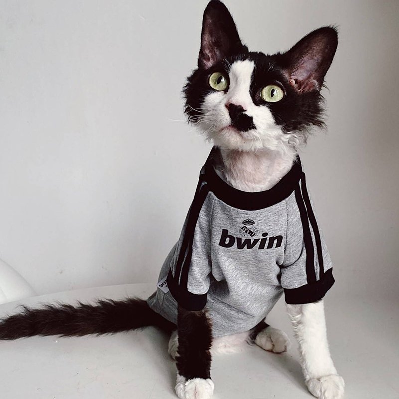 Cotton T-Shirts Top Sports Sphynx Cat Clothes - PIKAPIKA