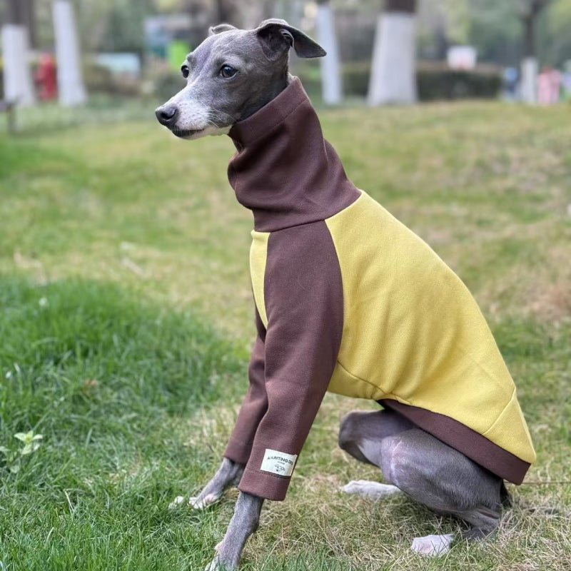Cotton Turtleneck Shirts for Italian Greyhound Whippet Dog Clothes - PIKAPIKA