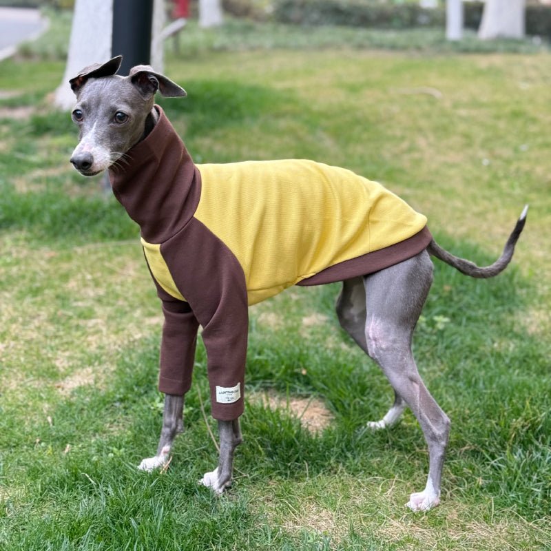 Cotton Turtleneck Shirts for Italian Greyhound Whippet Dog Clothes - PIKAPIKA
