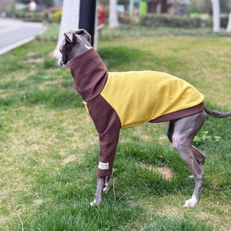 Cotton Turtleneck Shirts for Italian Greyhound Whippet Dog Clothes - PIKAPIKA