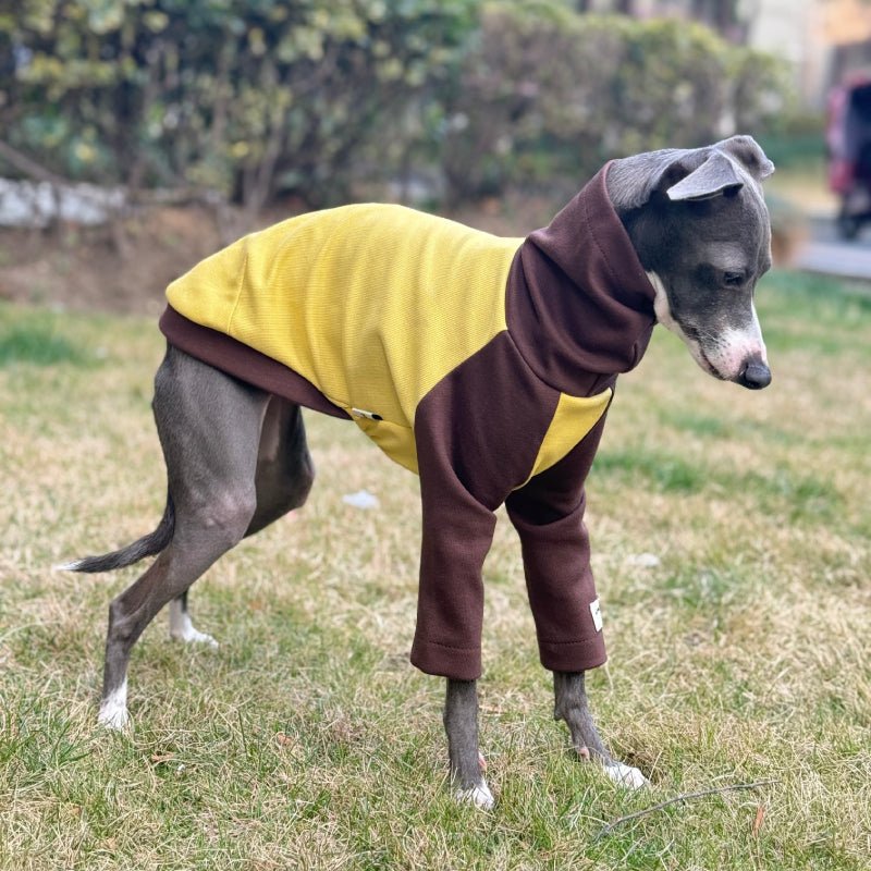 Cotton Turtleneck Shirts for Italian Greyhound Whippet Dog Clothes - PIKAPIKA