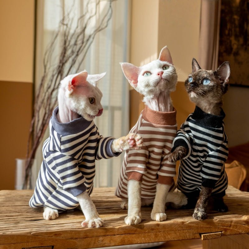 Cotton Undershirt Striped Sweatshirt Warm Sphynx Cat Clothes - PIKAPIKA