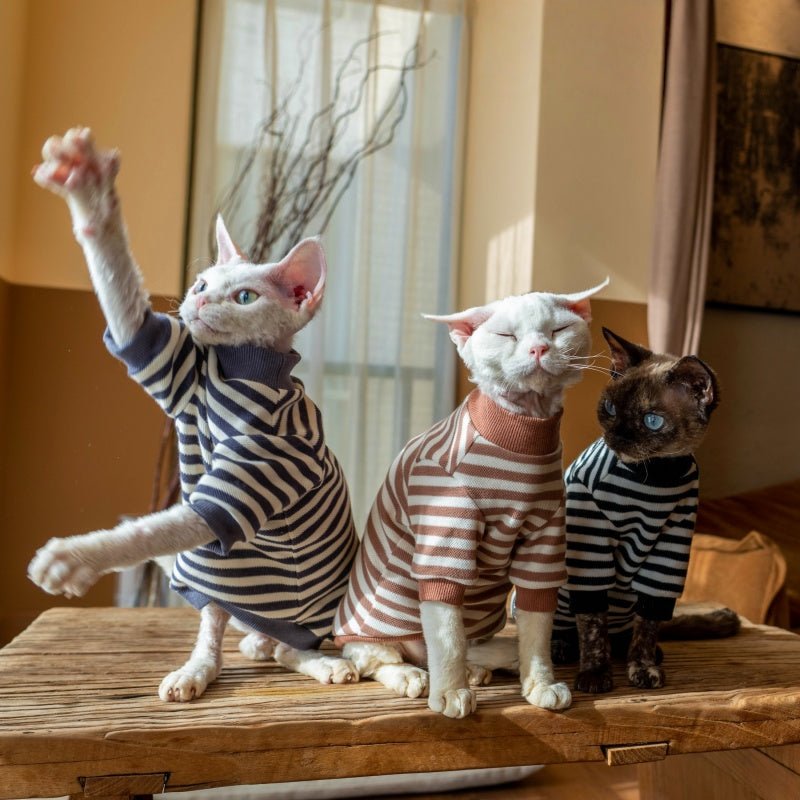Cotton Undershirt Striped Sweatshirt Warm Sphynx Cat Clothes - PIKAPIKA