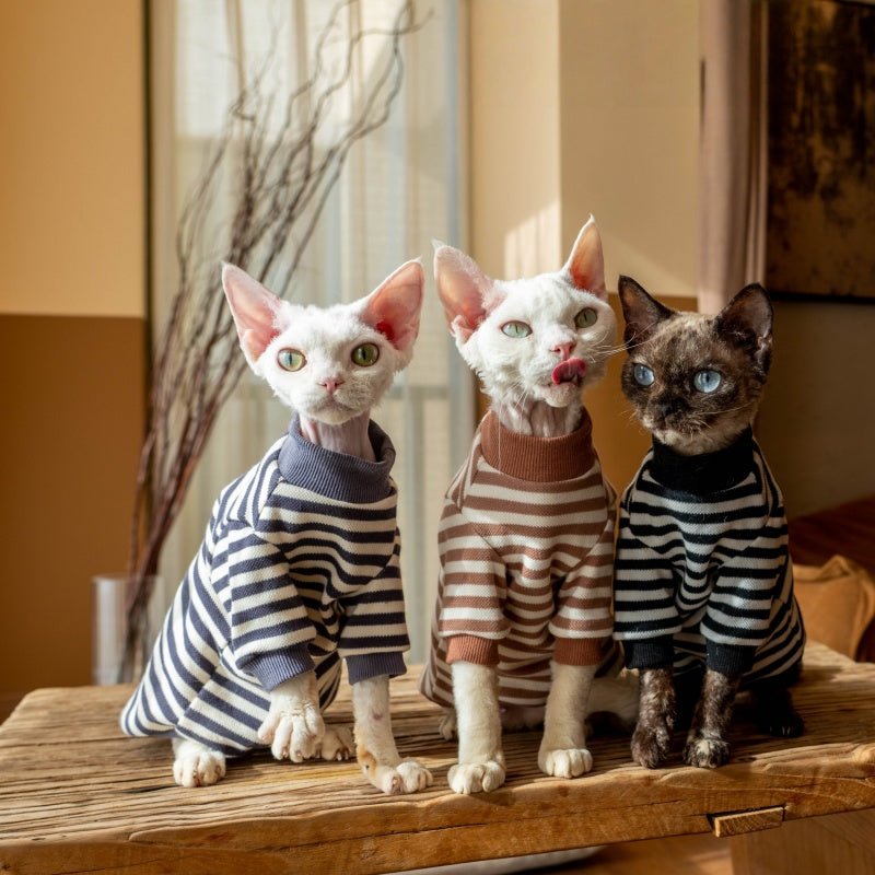 Cotton Undershirt Striped Sweatshirt Warm Sphynx Cat Clothes - PIKAPIKA