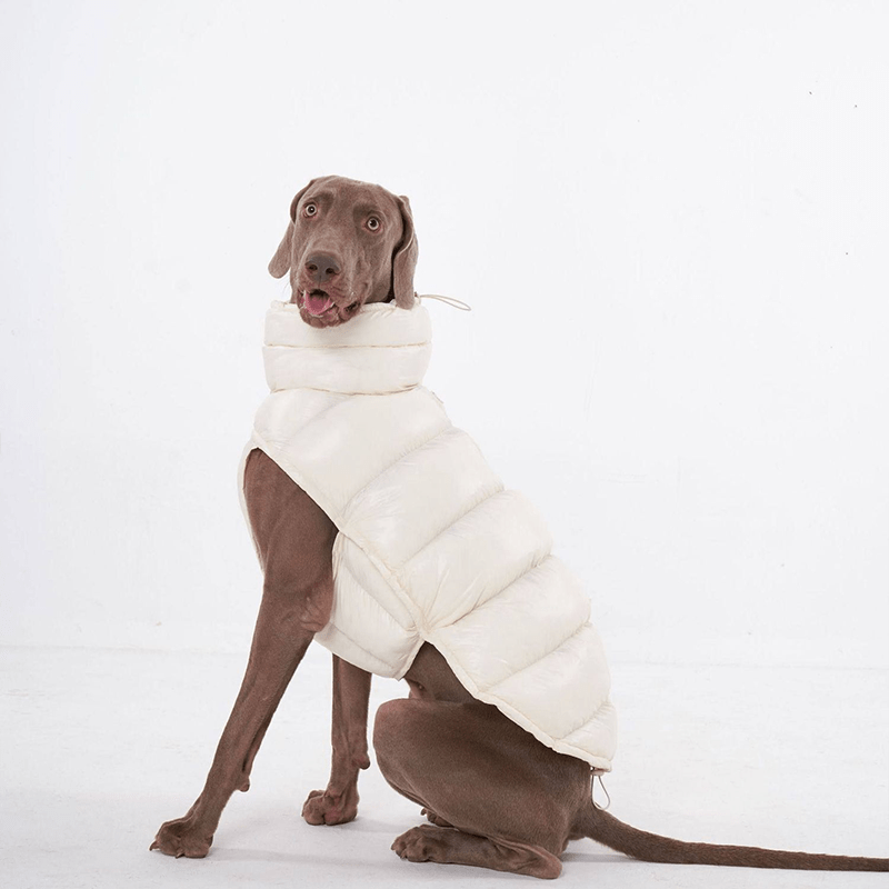 Cotton Windproof Warm Winter Dog Vest Thickened Fleece Coat - PIKAPIKA