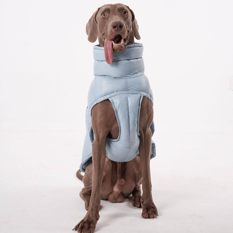 Cotton Windproof Warm Winter Dog Vest Thickened Fleece Coat - PIKAPIKA