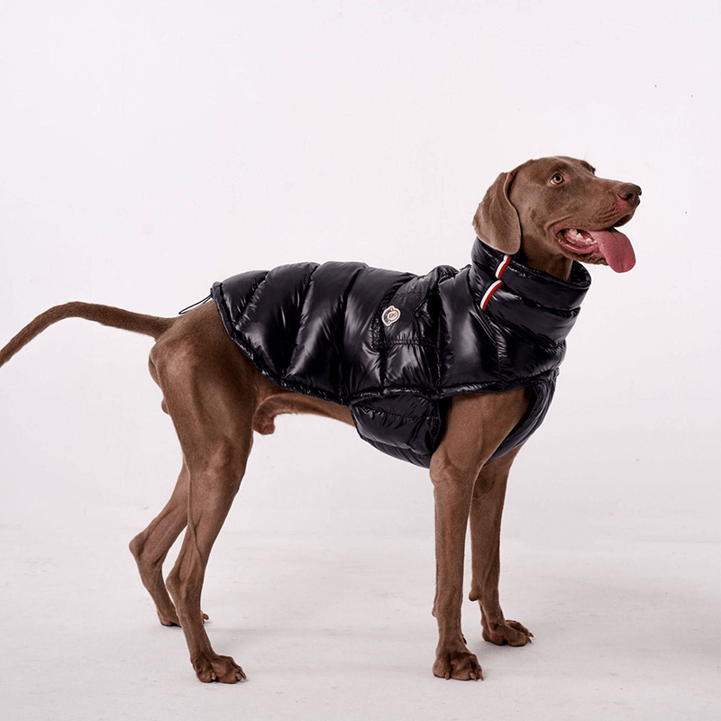 Cotton Windproof Warm Winter Dog Vest Thickened Fleece Coat - PIKAPIKA