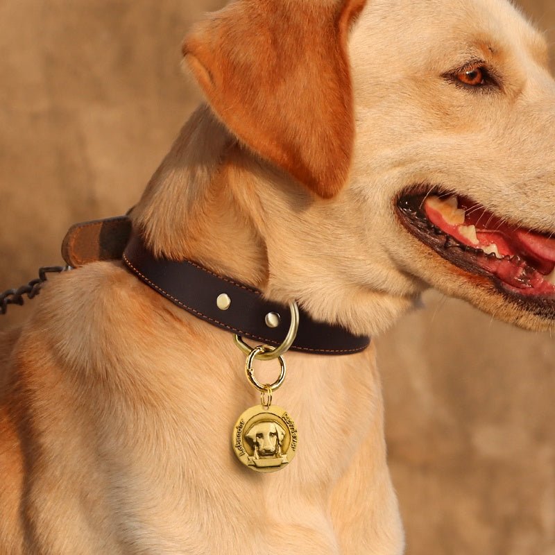 Custom Engraved Leather Dog Collar with ID Tag & Bell Anti - Lost Pet Neck Strap - PIKAPIKA