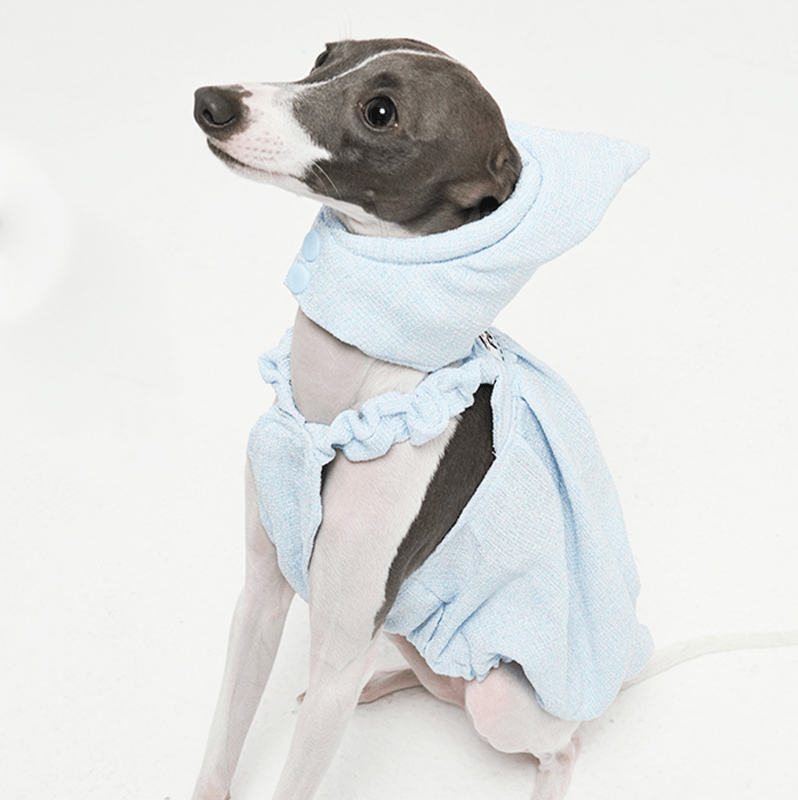 Cute Bubble Skirts Hat Dog Clothes Italian Greyhound Whippet Blue - PIKAPIKA