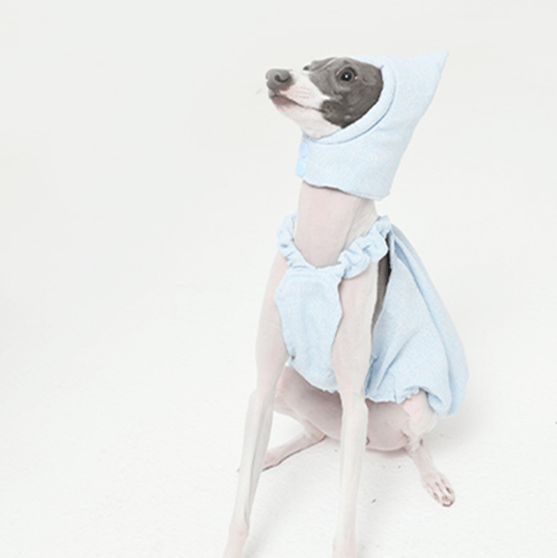 Cute Bubble Skirts Hat Dog Clothes Italian Greyhound Whippet Blue - PIKAPIKA