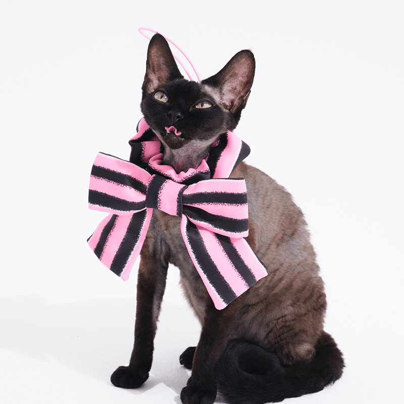 Cute Triangle Pet Bandana Bib for Cats - PIKAPIKA