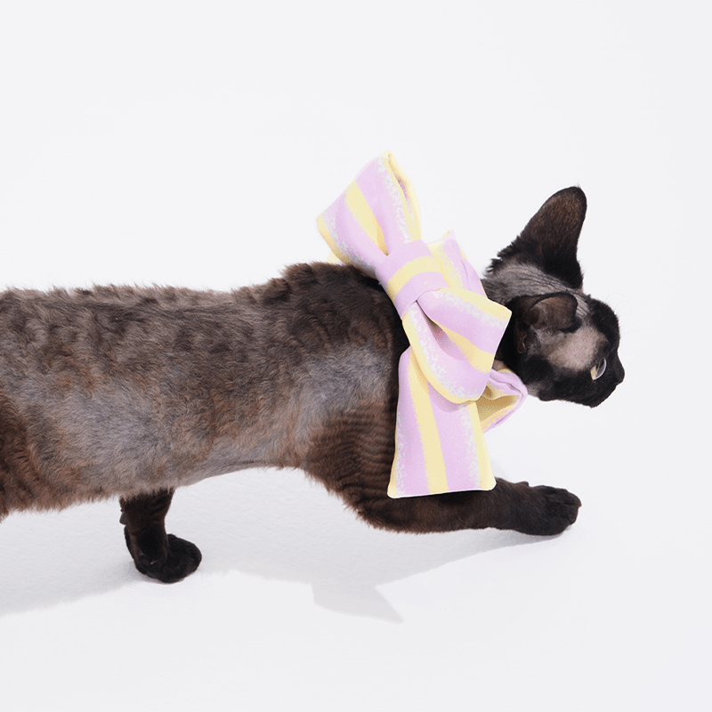 Cute Triangle Pet Bandana Bib for Cats - PIKAPIKA