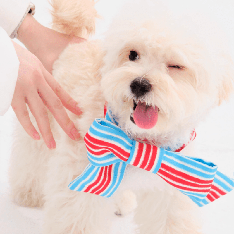 Cute Triangle Pet Bandana Bib for Dogs - PIKAPIKA