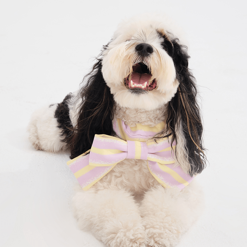 Cute Triangle Pet Bandana Bib for Dogs - PIKAPIKA