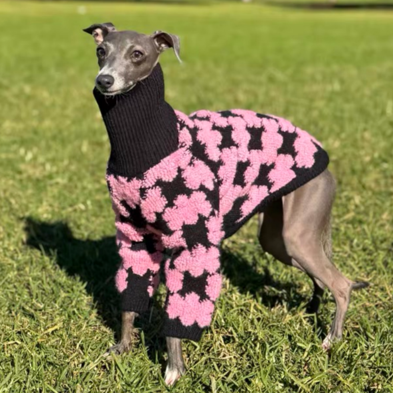 Embroidered High Neck Thick Dog Sweater for Italian Greyhound Whippet