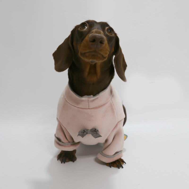 Dachshund Clothes Dog Bowknot Fleece High Neck Sweatshirt Pullover - PIKAPIKA