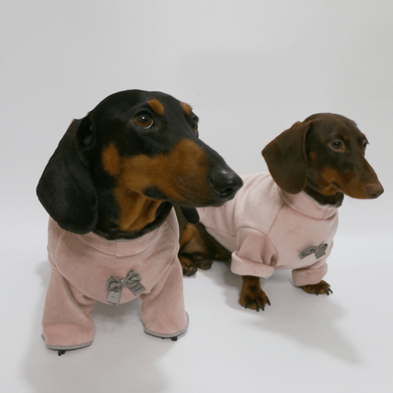 Dachshund Clothes Dog Bowknot Fleece High Neck Sweatshirt Pullover - PIKAPIKA
