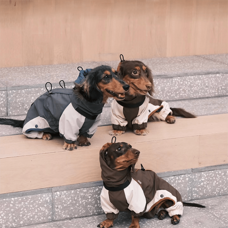 dog gear softshell Dachshund Clothes Dog Coat Softshell Jacket Outdoor Windproof