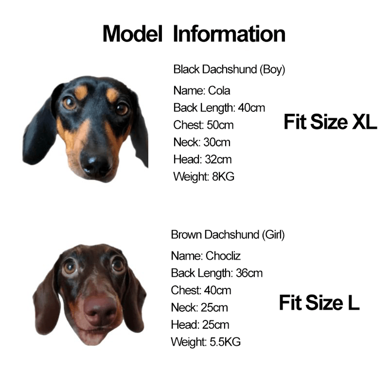 Dachshund Clothes Dog Hoodie Cable Knit Sweater - PIKAPIKA