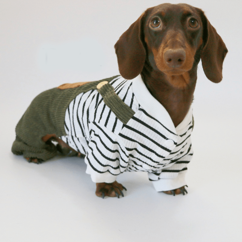 Dachshund Clothes Dog Onesies Two - in - one Overalls - PIKAPIKA
