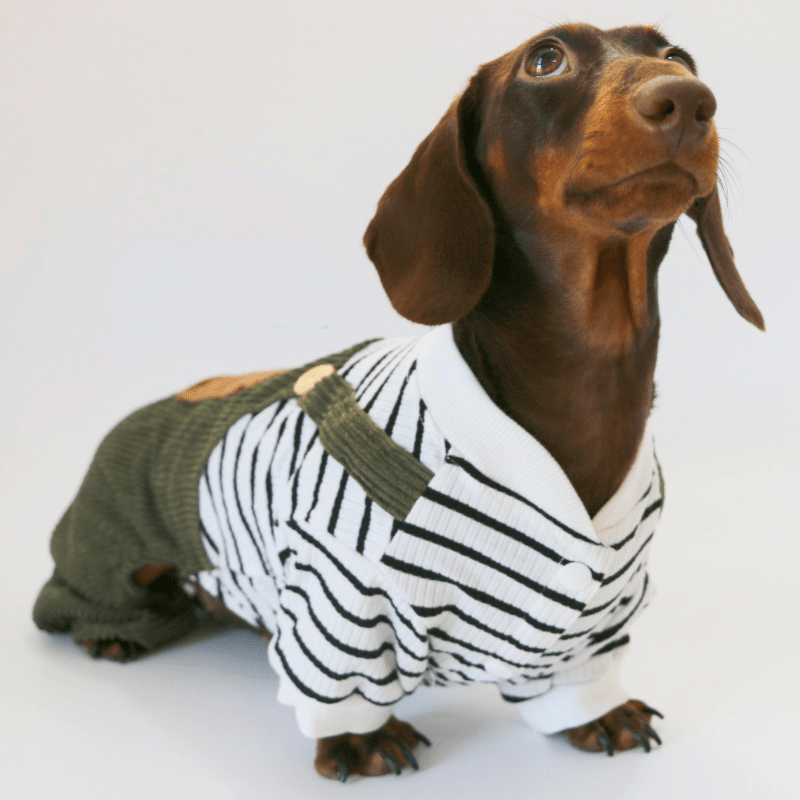 Dachshund Clothes Dog Onesies Two - in - one Overalls - PIKAPIKA
