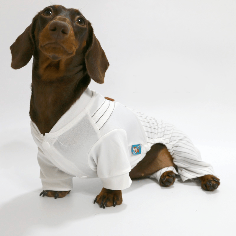 Dachshund Clothes Dog Onesies Two - in - one Overalls Breakfast - PIKAPIKA