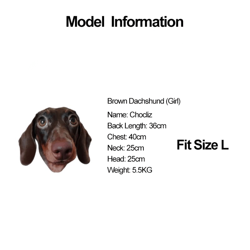 Dachshund Clothes Dog Sweater Cable Knit Wear - PIKAPIKA
