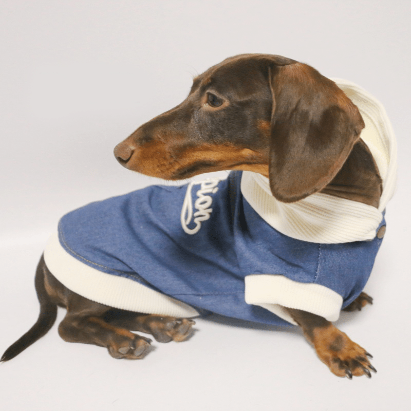Dachshund Dog Clothes Denim Hoodie Jacket Button Shirt Coat - PIKAPIKA