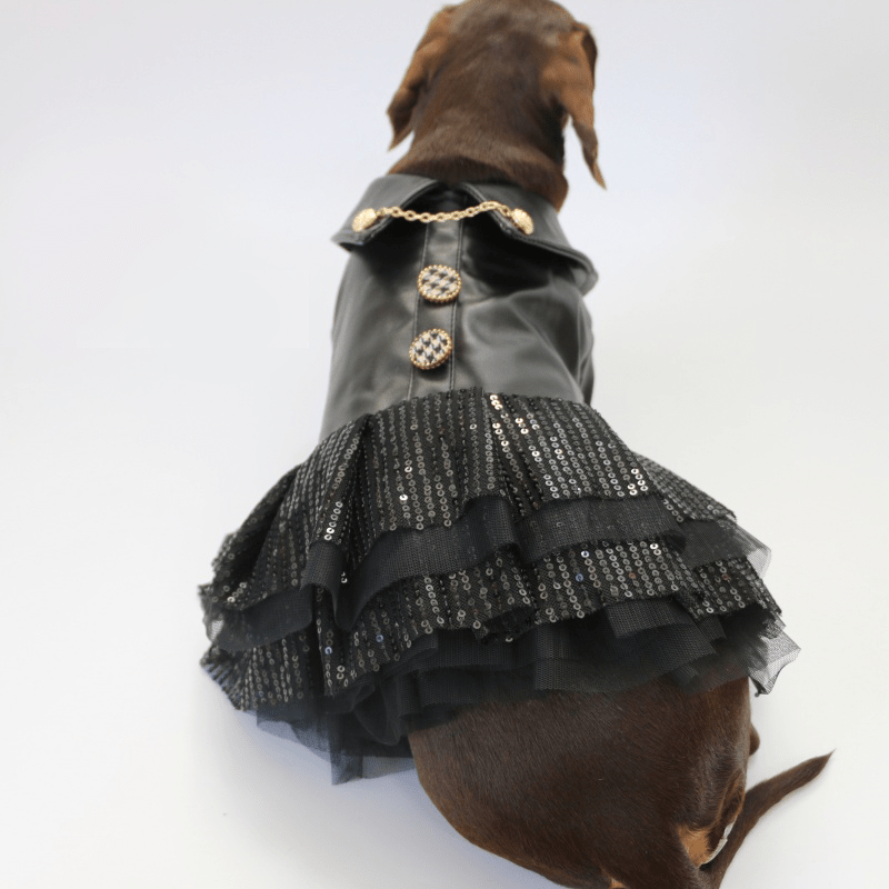 Dachshund Dog Clothes Leather Chiffon Dress Punk girl - PIKAPIKA Dachshund Dog Clothes Leather Chiffon Dress Punk girl - PIKAPIKA