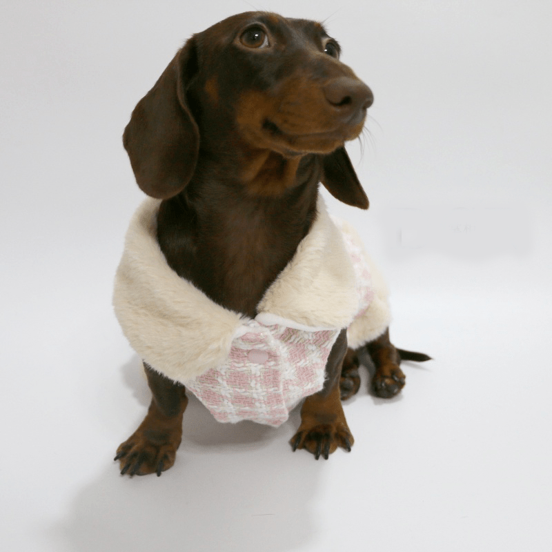 Dachshund Dog Clothes Luxury Tweed Faux Fur Dress Elegant Lady - PIKAPIKA