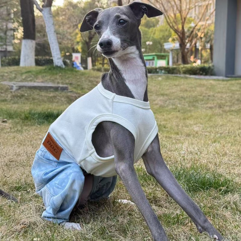 Denim Elastic Jumpsuit for Italian Greyhound Whippet Dog Sleeveless Clothes - PIKAPIKA