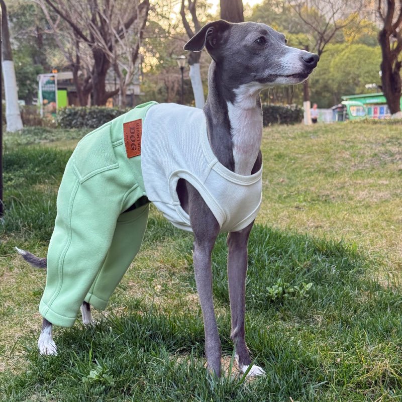 Denim Elastic Jumpsuit for Italian Greyhound Whippet Dog Sleeveless Clothes - PIKAPIKA