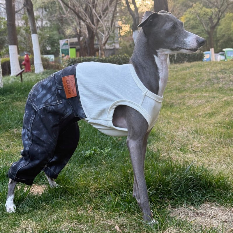 Denim Elastic Jumpsuit for Italian Greyhound Whippet Dog Sleeveless Clothes - PIKAPIKA