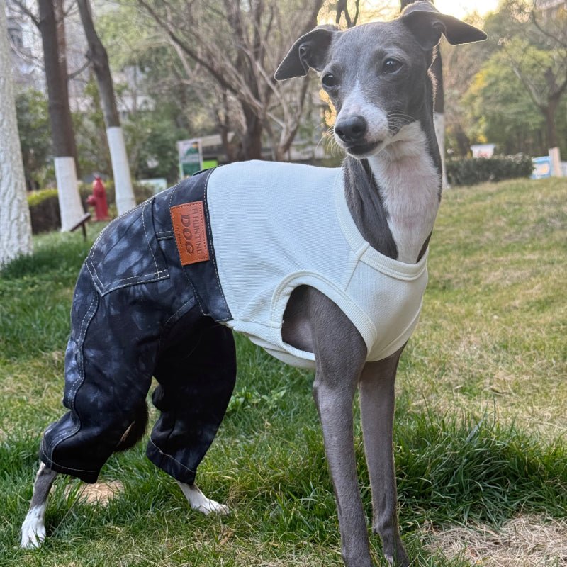 Denim Elastic Jumpsuit for Italian Greyhound Whippet Dog Sleeveless Clothes - PIKAPIKA