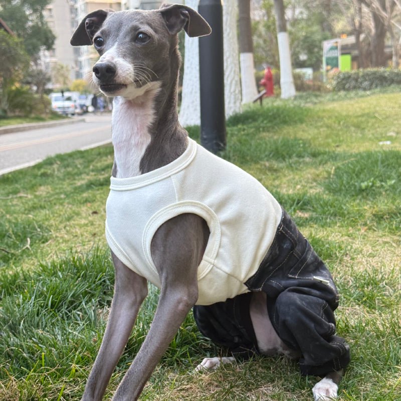Denim Elastic Jumpsuit for Italian Greyhound Whippet Dog Sleeveless Clothes - PIKAPIKA